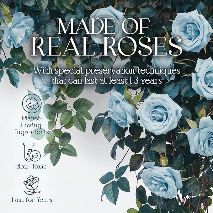 GLAMOUR BOUTIQUE Preserved Roses in a Box - Gifts for Her, Wife & Mom, Rose Flowers Forever Decor for Birthday Gift, Get Well Flower Bouquet Cased in White Box with Cover - Teal - 16 (Color-Treated)