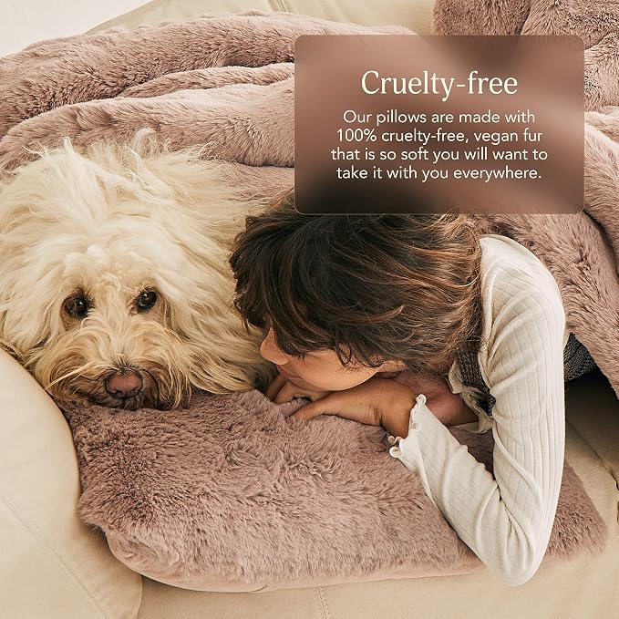 UnHide Squish - Faux Fur Pillow - Extra Soft Throw Pillow - Square Shaped Pillow, Polyester Fill - Machine Washable - Perfect for Living Room, Bedroom, or Guest Room - 20” x 20” - Beige Bear