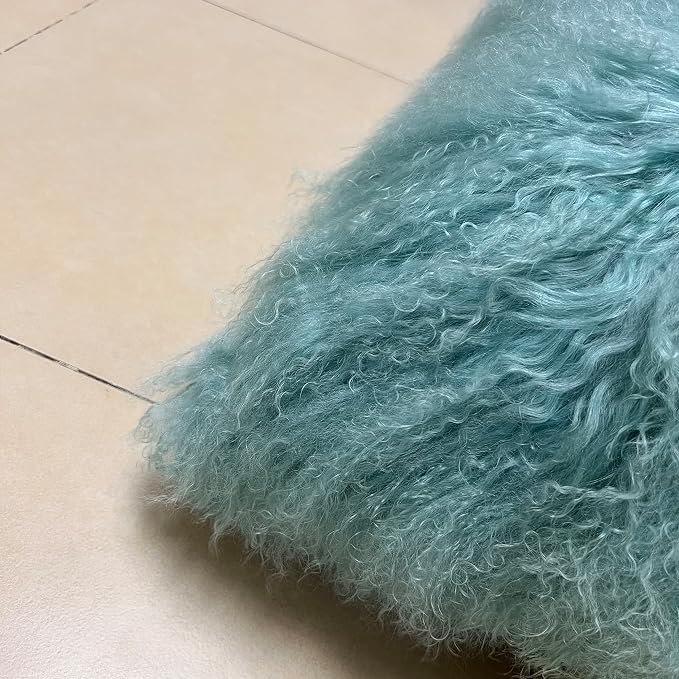 MOOX Mongolian Lamb Fur Pillow Covers Lumbar Throw Sheepskin Pillow Case Genuine Wool Fur Tibetan Accent Living Room Bedroom Decorative Cushion Cover (20x20inch, Green)