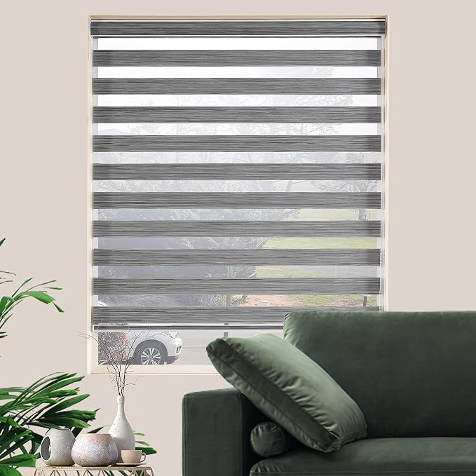Zebra Blinds for Windows, Free-Stop Zebra Shades, Dual Layer Light Filtering Sheer Blinds for Indoor Windows, Roller Window Shades for Privacy (25" W X 72" H, Grey)