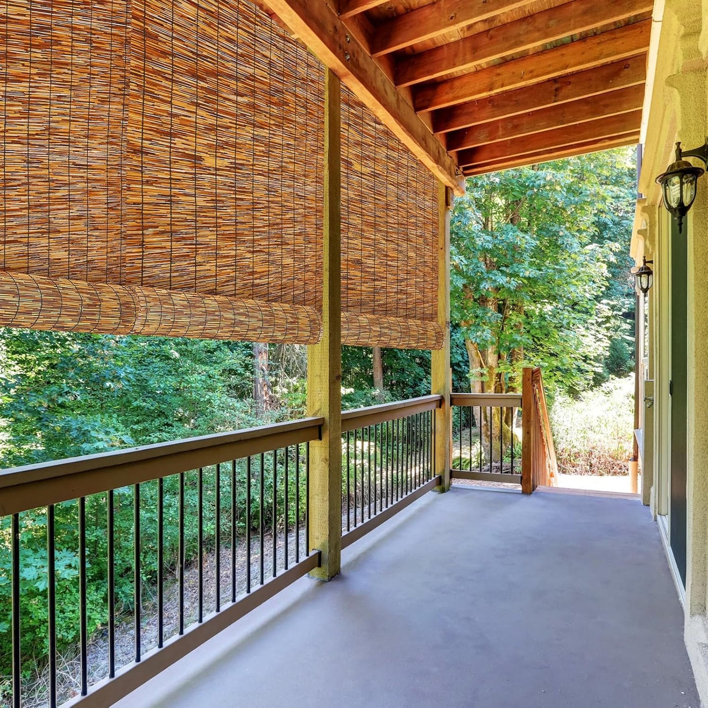 Barydat 3 Pcs 4 x 16.4 ft Bamboo Privacy Screen, Reed Fence Roller Patio Decorative Fences Reed Screen Curtain for Garden Backyard Patio Balconies