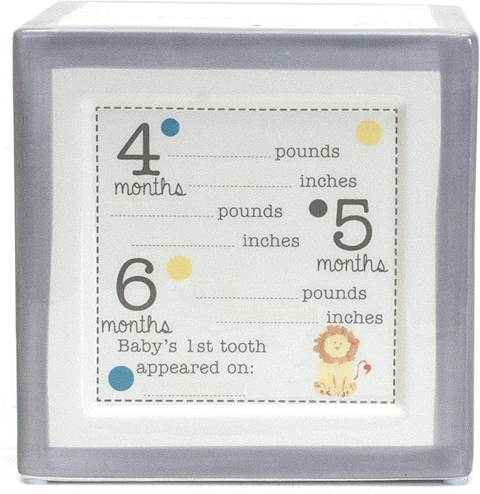 Child to Cherish New Baby Keepsake Piggy Bank, A Block to Grow On, Grey