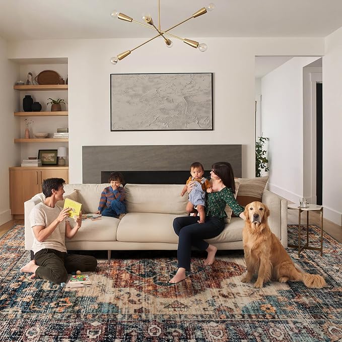 Ruaruarug Washable Area Rug 8x10 for Living Room, Bedroom, Ultra Soft Non Slip Stain & Fade Resistant, Pet & Kids Friendly, Suitable for High Traffic Areas Easy to Clean for Office Kitchen, Brown