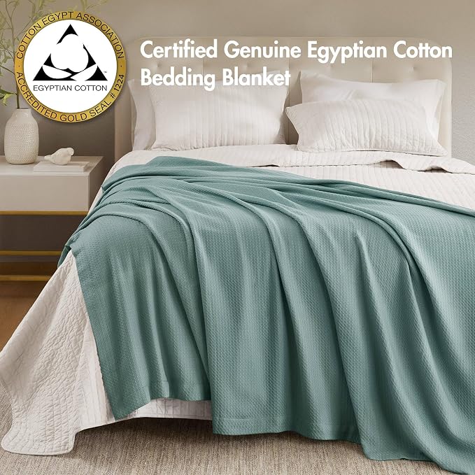 Madison Park 100% Egyptian Cotton Lightweight Summer Blanket, Breathable Waffle Knit Design, Soft Cozy All-Season Throw for Bed, Couch or Sofa, Teal Twin Size (66"x90")