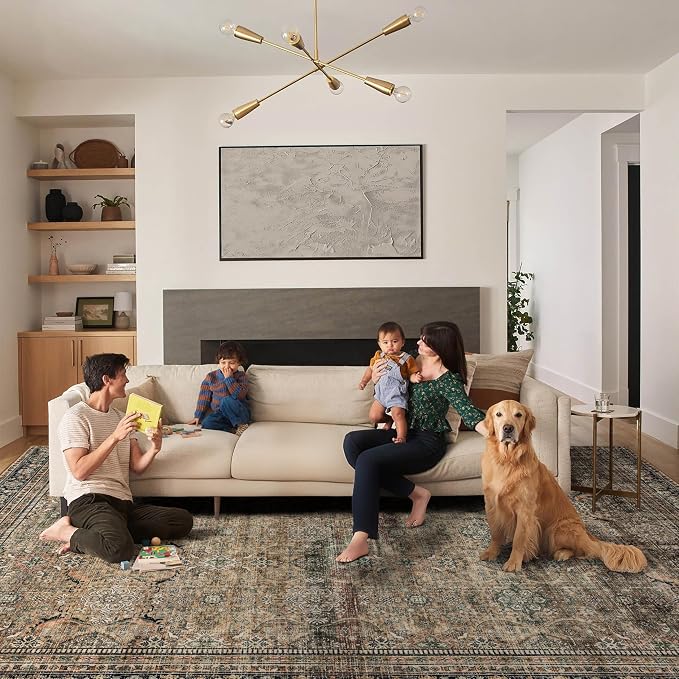 Ruaruarug Washable Area Rug 10x14 for Living Room, Bedroom, Ultra Soft Non Slip Stain & Fade Resistant, Pet & Kids Friendly, Suitable for High Traffic Areas Easy to Clean for Kitchen, Vintage Brown