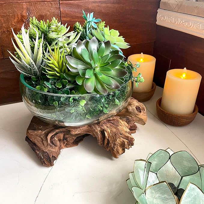 Decorative Vase, 10 Inch Diameter Molten Glass Bowl on Driftwood | Low 6 Inch Profile, Genuine Indonesian Wood, Hand Blown Clear Vessel with Bubbles and Organic Shapes