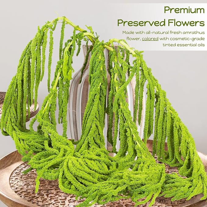 5Pcs Dried Amaranthus Hanging Flowers - 100% Natural 23“ Neon Green Preserved Amaranthus Flowers for Wedding Arch, Floral Arrangment, Wall Hanging