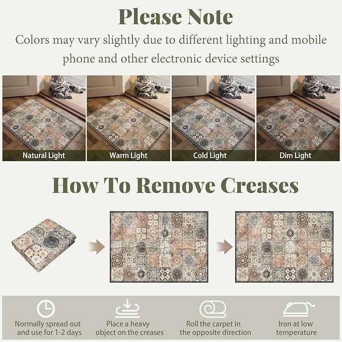 Machine Washable Entryway Small Area Rugs: Soft Non-Slip Low Pile Door Mat Indoor Entrance 2x3 ThrowRug for High-Traffic Areas Kitchen, Hallway, Farmhouse Decor