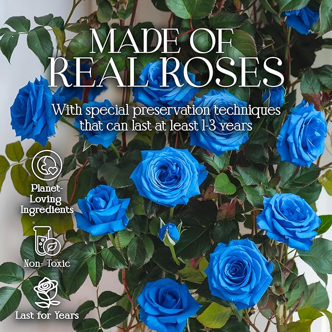 GLAMOUR BOUTIQUE Preserved Roses in a Box - Gifts for Her, Wife & Mom, Rose Flowers Forever Decor for Birthday Gift, Get Well Flower Bouquet Cased in White Box with Cover, Blue, 16 (Color-Treated)