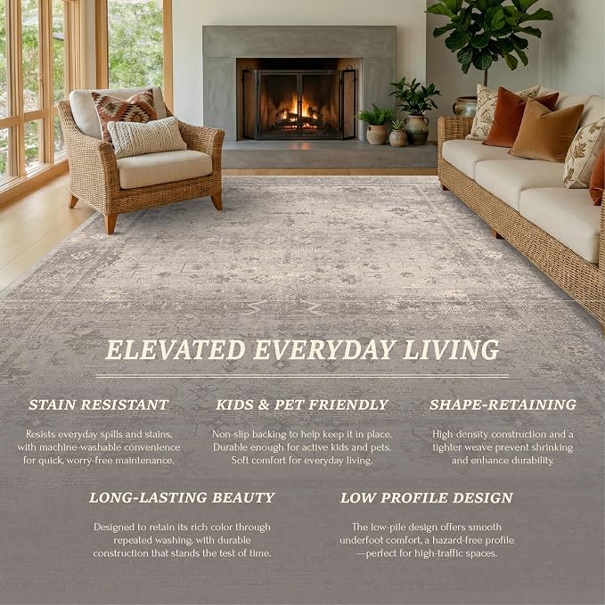 2x3 Washable Throw Rugs for Entryway, Front Door Mat, Low Pile Non-Slip Small Area Rug for Kitchen Sink, Bathroom, Powder Room & Mudroom, Beige Granite Neutral Modern Farmhouse Decor