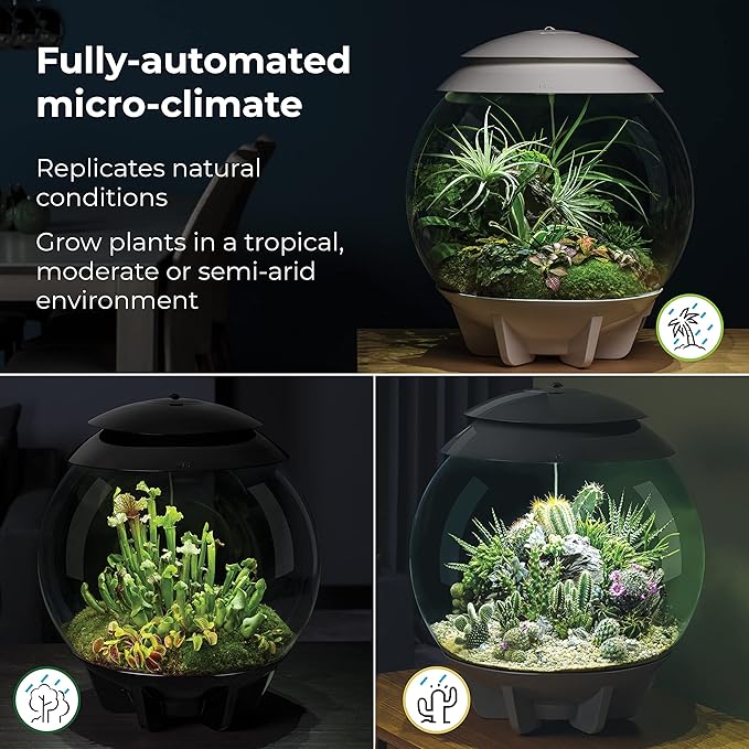 biOrb AIR 30, Automated Acrylic Terrarium for Desert or Tropical Plants, Black