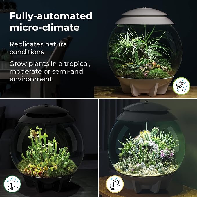 biOrb AIR 30, Fully Automated Terrarium for Arid, Temperate, or Tropical Plants, White