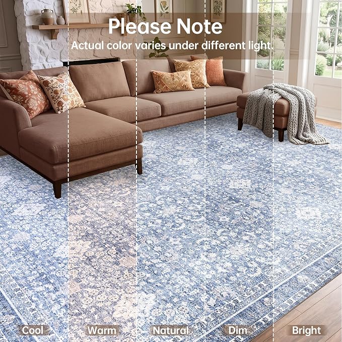 Sasttie 3x5 Rug, Ultra-Soft Washable Rug, Low Pile Foldable Thin Carpets with Non-Slip Backing, Skin-Friendly Stain Resistant Carpet for Living Room, Bedroom, Kitchen, Dorm, 3x5, Light Blue