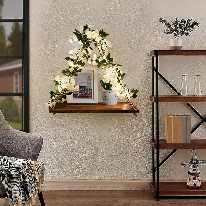 JOPSTDI Floating Shelves for Wall,Plant Wall Decor,Hanging Shelf,Cottage Core Decor,Room Decor Aesthetic,Trinket Shelf,Hanging Shelves,Floating Shelves for No Drilling,Two-Piece Set