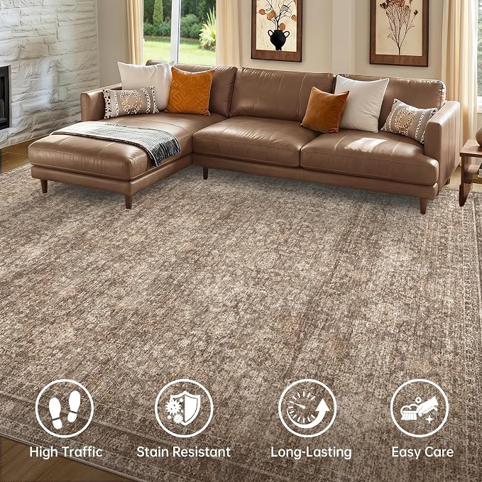 Sasttie 6x9 Area Rugs, Ultra-Soft Washable Rug, Low Pile Foldable Thin Carpets with Non-Slip Backing, Skin-Friendly Stain Resistant Carpet for Living Room, Bedroom, Kitchen, Dorm, 6x9, Dark Brown