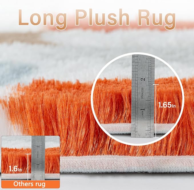 PureCozy Checkered Rug 5x8 for Living Room, Modern Rainbow Shag Rug Super Soft Washable Indoor Fuzzy Carpet Non-Slip Fluffy Rugs for Bedroom Home Aesthetic Decor
