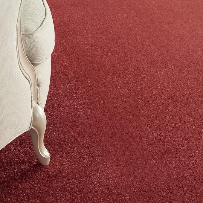 Nourison Home Nourison Essentials Brick Red 7' x 10' Area Rug - Easy Clean, Non Shedding, Bed Room, Living Room, Dining Room, Kitchen (7' x 10')