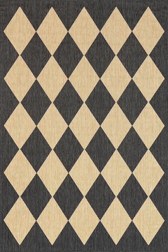 Nuloom Outdoor Performance Collection Sabina Dark Grey/Ivory, 2' x 3', Soft, High Traffic, Stain Resistant, Easy Clean, Durable Area Rug for Indoor/Outdoor Patio, Deck, Porch, Garden, Courtyard