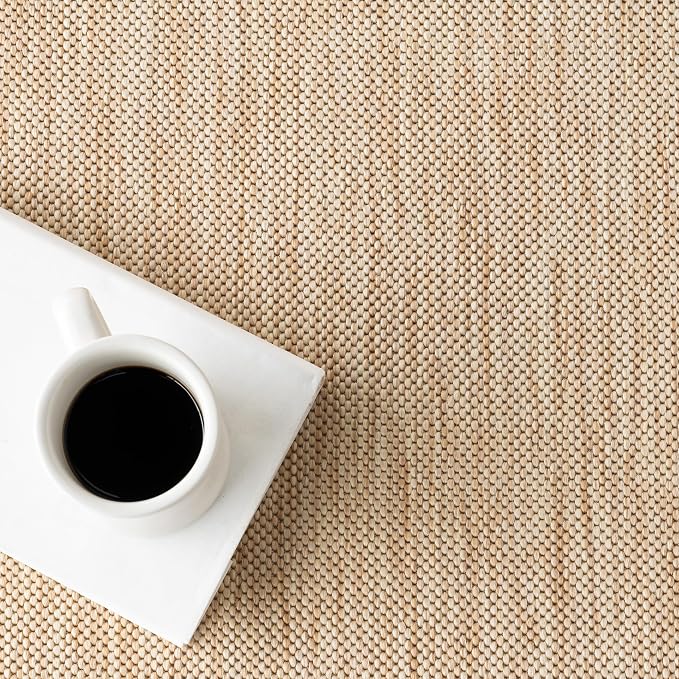 Nuloom Asha Tan/Ivory, 4' x 6', Casual, Striped Border, Soft and Cozy, High Traffic, Easy Clean, Durable Area Rug for Indoor/Outdoor Patio, Deck, Porch, Garden, Courtyard